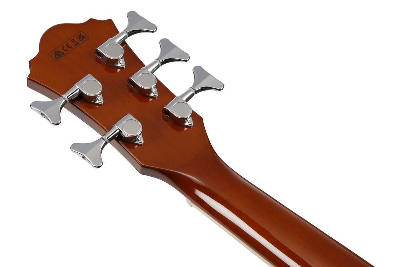 Ibanez (AEB105ENT) | Musician Madness
