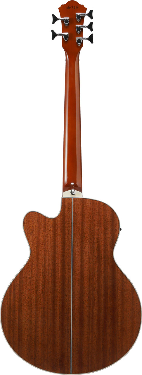 Ibanez (AEB105ENT) | Musician Madness
