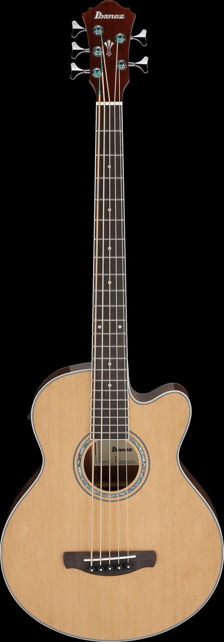 Ibanez (AEB105ENT) | Musician Madness