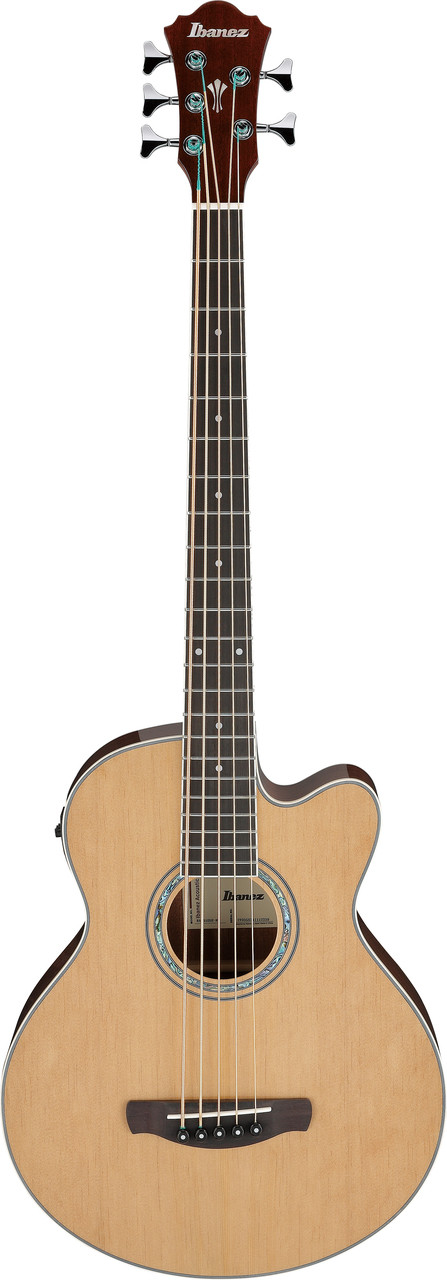 Ibanez (AEB105ENT) | Musician Madness