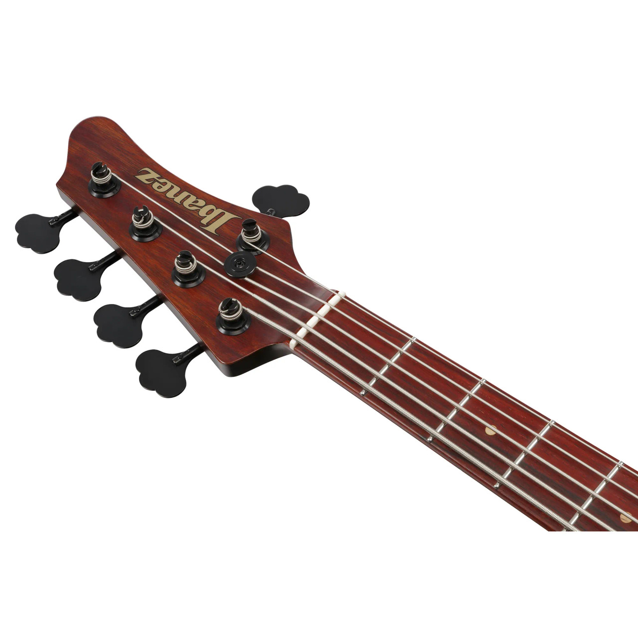 Ibanez MDM Visions Japan Custom Shop 5 String Electric Bass w/Case (IV2MDM) | Musician Madness