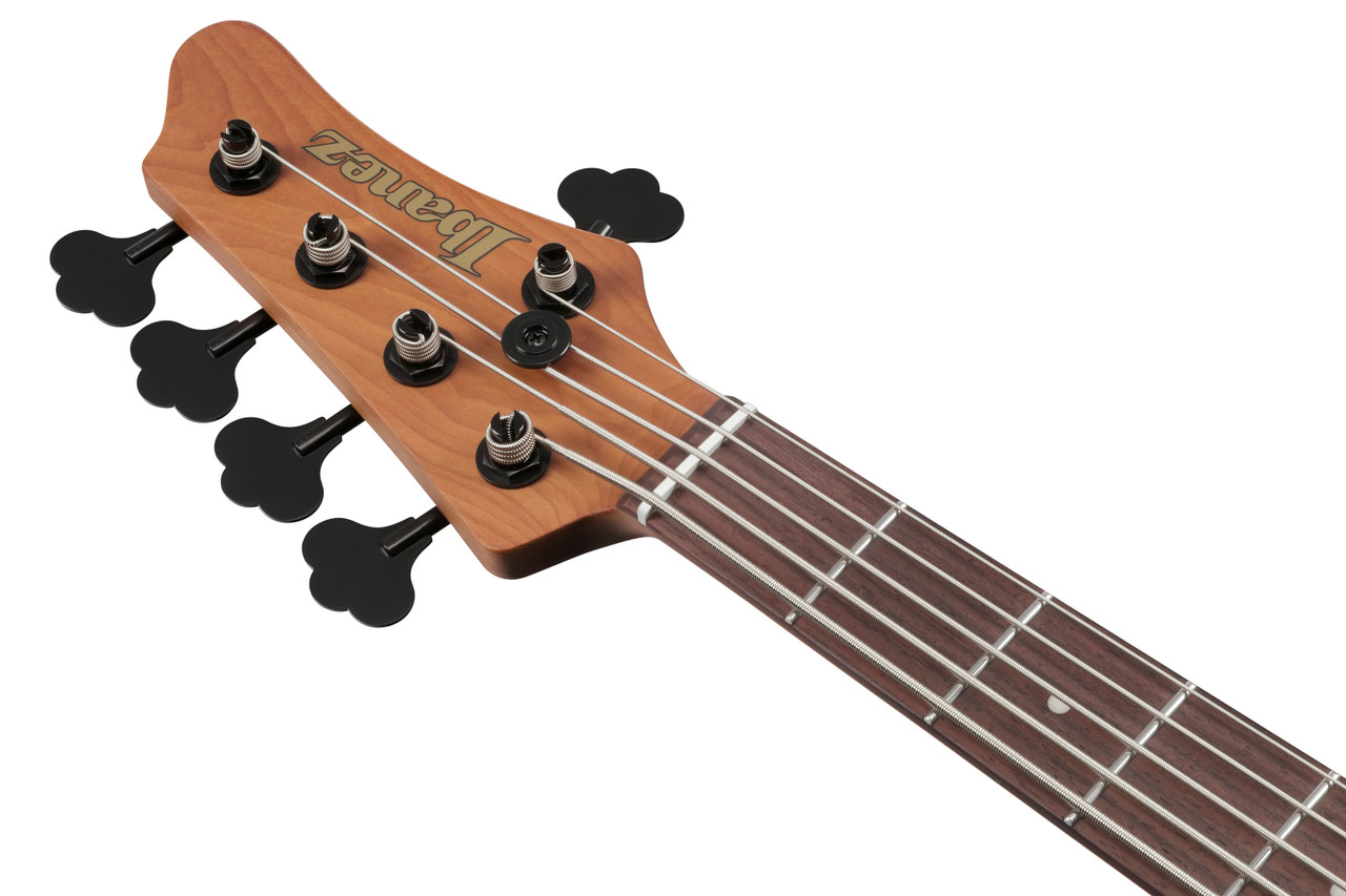 Ibanez MDM 5str Electric Bass w/Bag - Natural Mocha Low Gloss (MDM1605NML)|Musician Madness