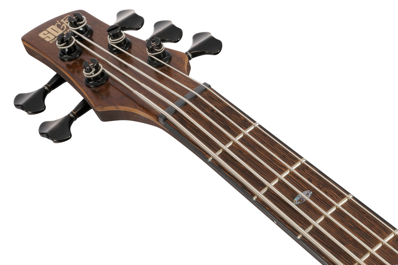 Ibanez SR Premium 5 String Electric Bass w/Bag - Icebreaker Wave Flat (SR1325SBIVF)