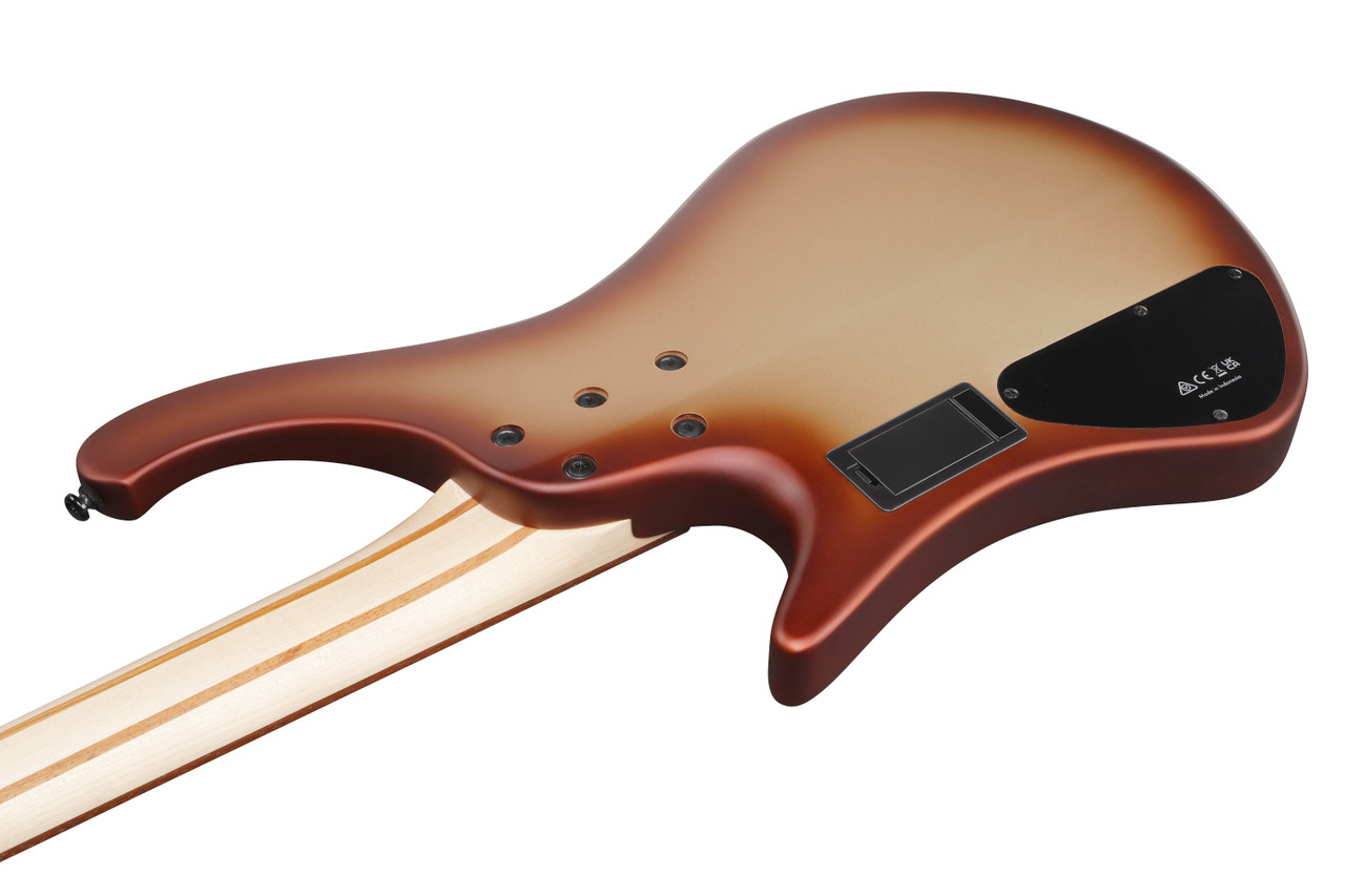 Ibanez EHB Ergonomic Headless Bass 4 String - Charred Champagne Burst Matte (EHB600CCM)