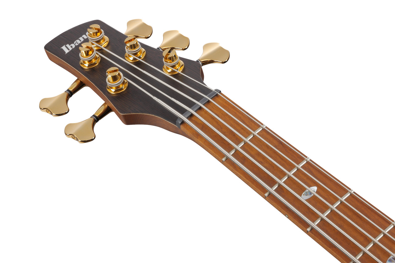 Ibanez SR Prestige 5 String Electric Bass - Desert Sunset Burst (SR4505DST)