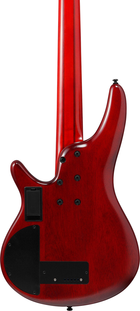 Ibanez SR Bass Workshop 5str Electric Bass - Fretless - Brown Topaz Burst Low Gloss (SRD905FBTL)|Musician Madness