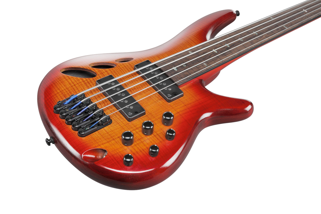 Ibanez SR Bass Workshop 5str Electric Bass - Fretless - Brown Topaz Burst Low Gloss (SRD905FBTL)|Musician Madness