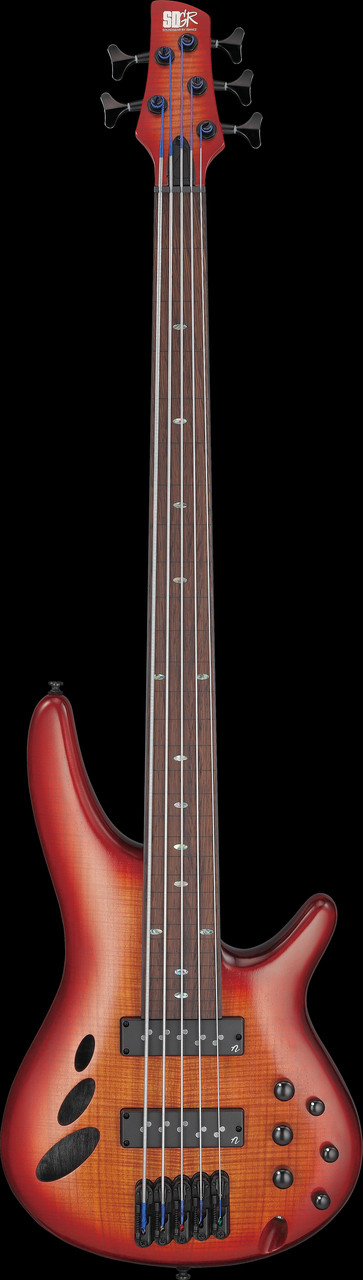Ibanez SR Bass Workshop 5str Electric Bass - Fretless - Brown Topaz Burst Low Gloss (SRD905FBTL)|Musician Madness