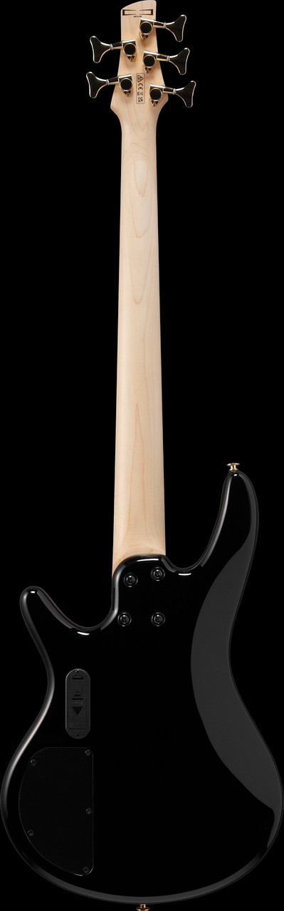 Ibanez Gio SR 5str Electric Bass - Transparent Marine Burst (GSR205PCTMU)|Musician Madness