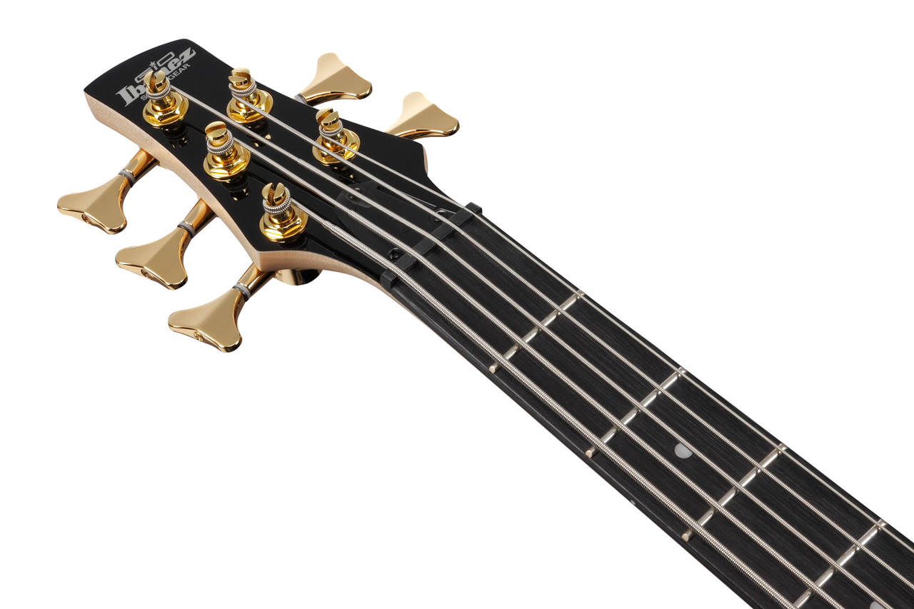 Ibanez Gio SR 5str Electric Bass - Transparent Marine Burst (GSR205PCTMU)|Musician Madness