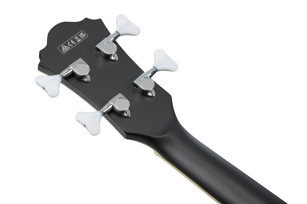 Ibanez AGB200 Semi-hollow Bass Guitar - Black Flat (AGB200BKF)|Musician Madness