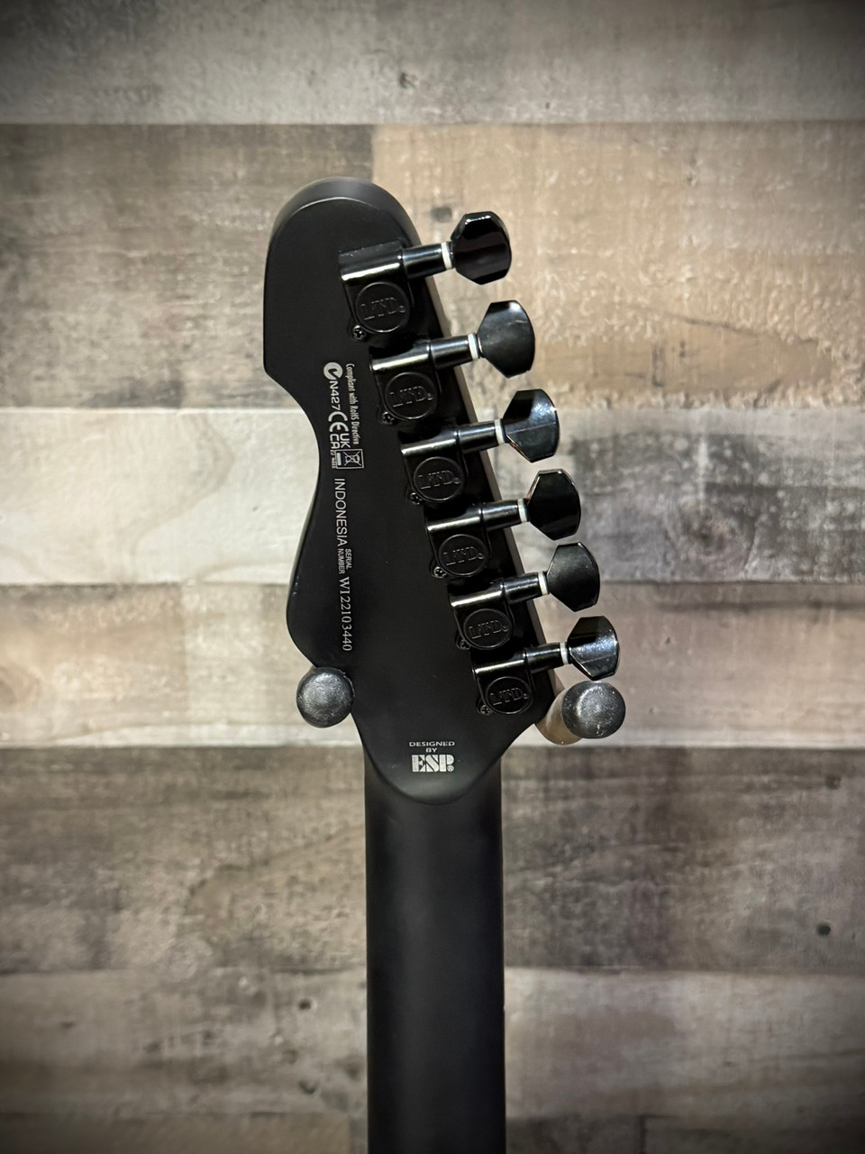 LTD TE-201 Electric Guitar - Black (LTE201BLKS)