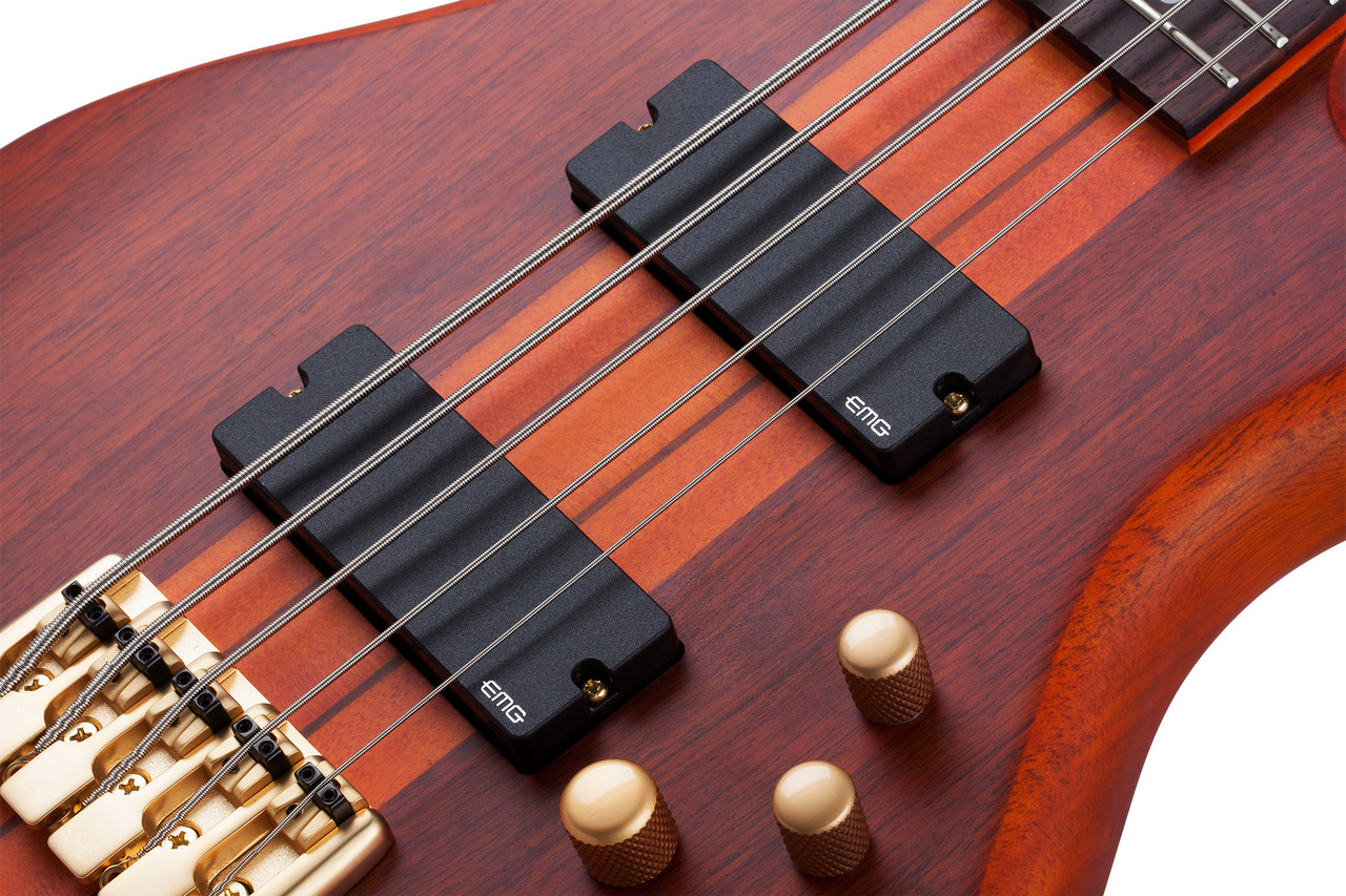 Schecter Stiletto Studio Bass Guitar - Honey Satin (2720) | Musician Madness