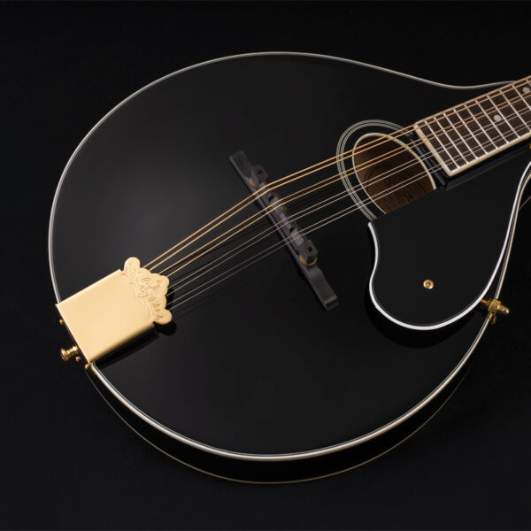 Washburn M1SD Americana Series A-Style Mandolin - Black (M1SDLB-A-U) | Musician Madness