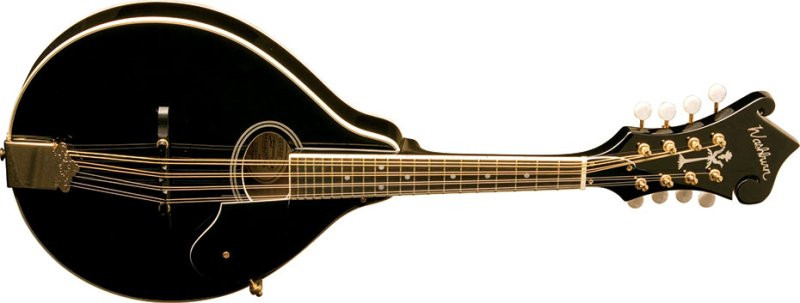 Washburn M1SD Americana Series A-Style Mandolin - Black (M1SDLB-A-U)