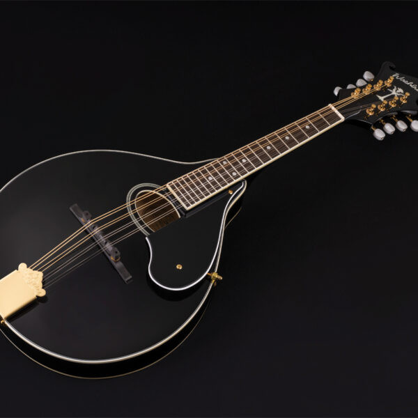 Washburn M1SD Americana Series A-Style Mandolin - Black (M1SDLB-A-U)