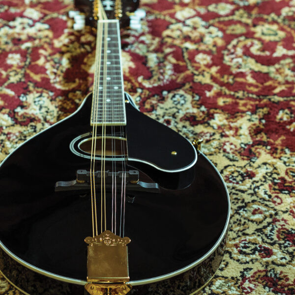 Washburn M1SD Americana Series A-Style Mandolin - Black (M1SDLB-A-U)