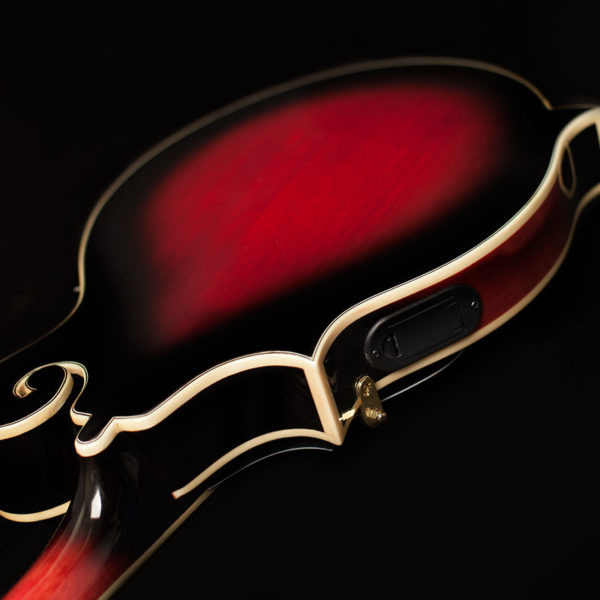 Washburn M3SWE Americana Series F-Style Mandolin - Trans Wine Red (M3SWETWRK-D-U)