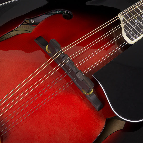 Washburn M3SWE Americana Series F-Style Mandolin - Trans Wine Red (M3SWETWRK-D-U)