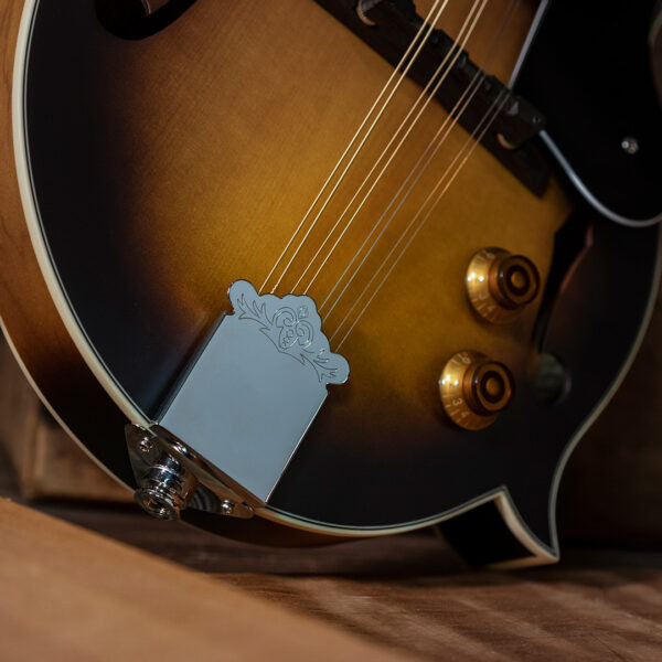 Washburn M3E Pack American Series F-Style Mandolin Pack - Sunburst (M3EK-A-U) | Musician Madness