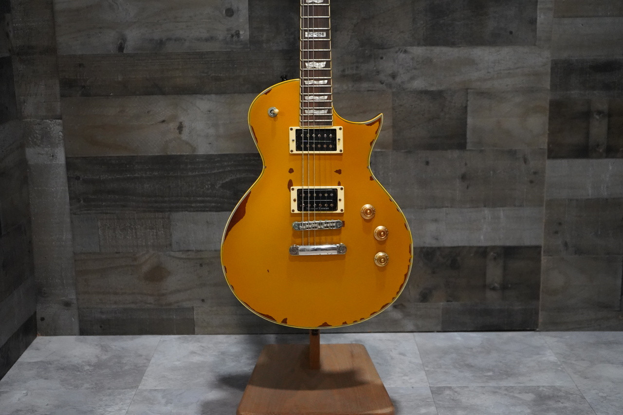 ESP LTD EC-256 Electric Guitar - Distressed w/ Hard Case - Used (EC-256_USED_IS)