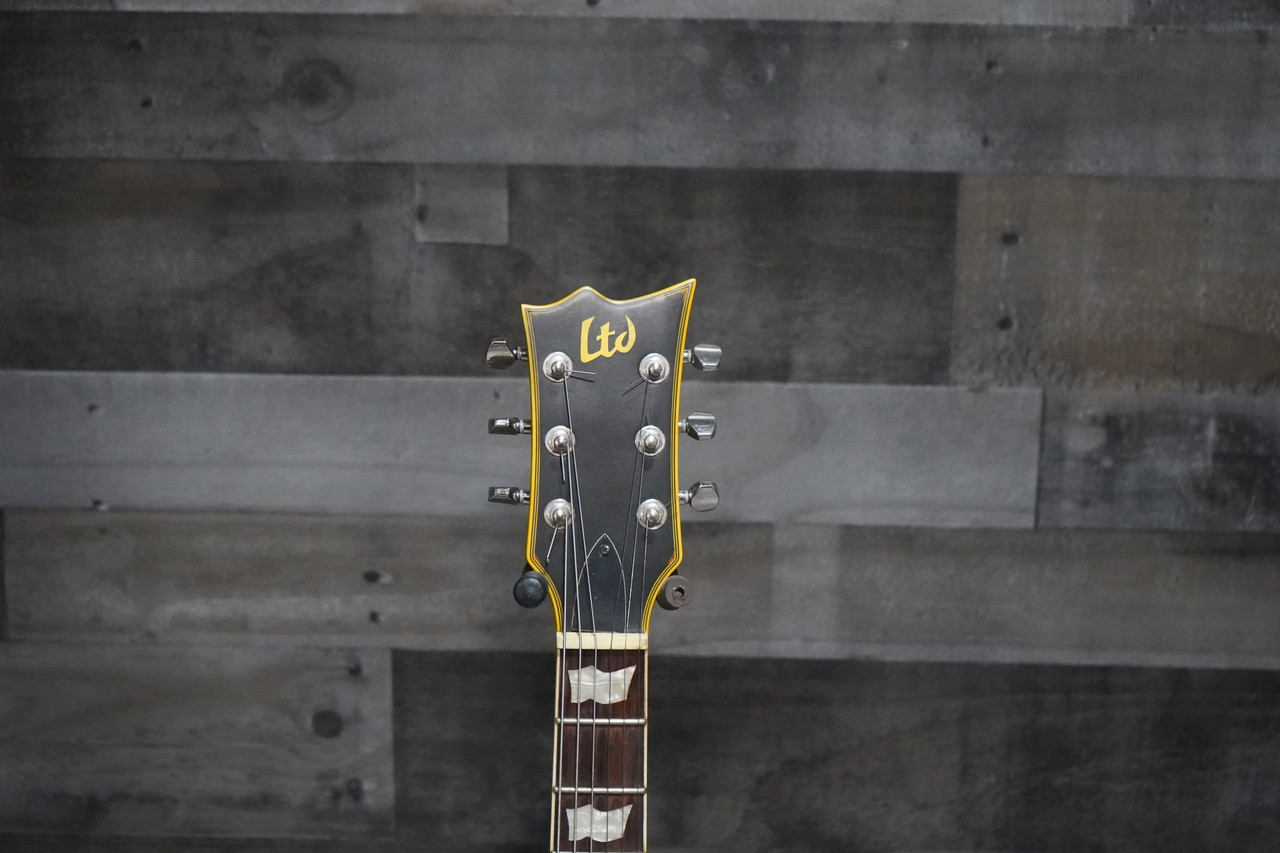 ESP LTD EC-256 Electric Guitar - Distressed w/ Hard Case - Used (EC-256_USED_IS)