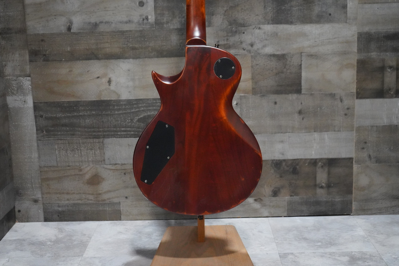 ESP LTD EC-256 Electric Guitar - Distressed w/ Hard Case - Used (EC-256_USED_IS)