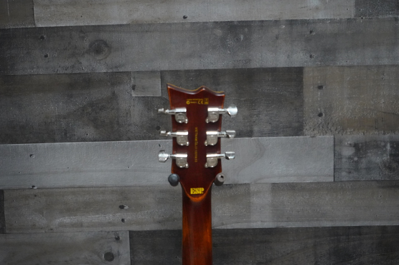 ESP LTD EC-256 Electric Guitar - Distressed w/ Hard Case - Used (EC-256_USED_IS)