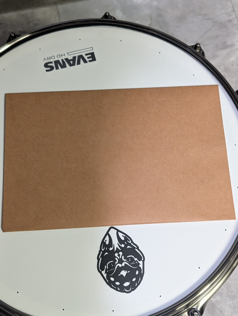 Mapex Artist Collection Psychoctopus 14 X 8 Snare Drum - Gun Metal