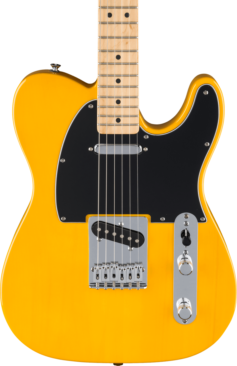 Fender Standard Telecaster Maple Fingerboard, Black Pickguard, Butterscotch Blonde | Musician Madness