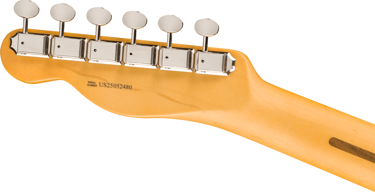 Fender American Professional Classic Telecaster Maple Fingerboard, Faded Lake Placid Blue | Musician Madness