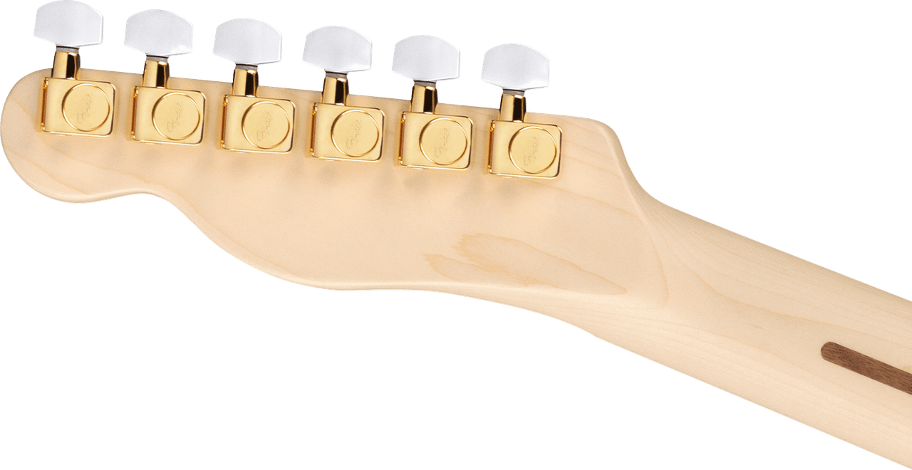 Fender James Burton Telecaster Maple Fingerboard, Blue Paisley Flames | Musician Madness