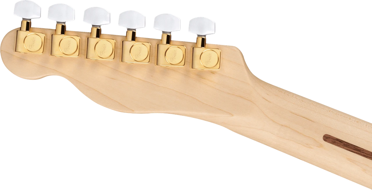 Fender James Burton Telecaster Maple Fingerboard, Red Paisley Flames | Musician Madness