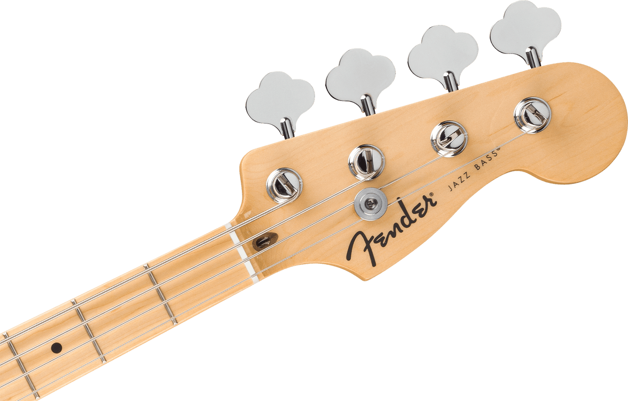 Fender Standard Jazz Bass Maple Fingerboard, Black Pickguard, Black | Musician Madness
