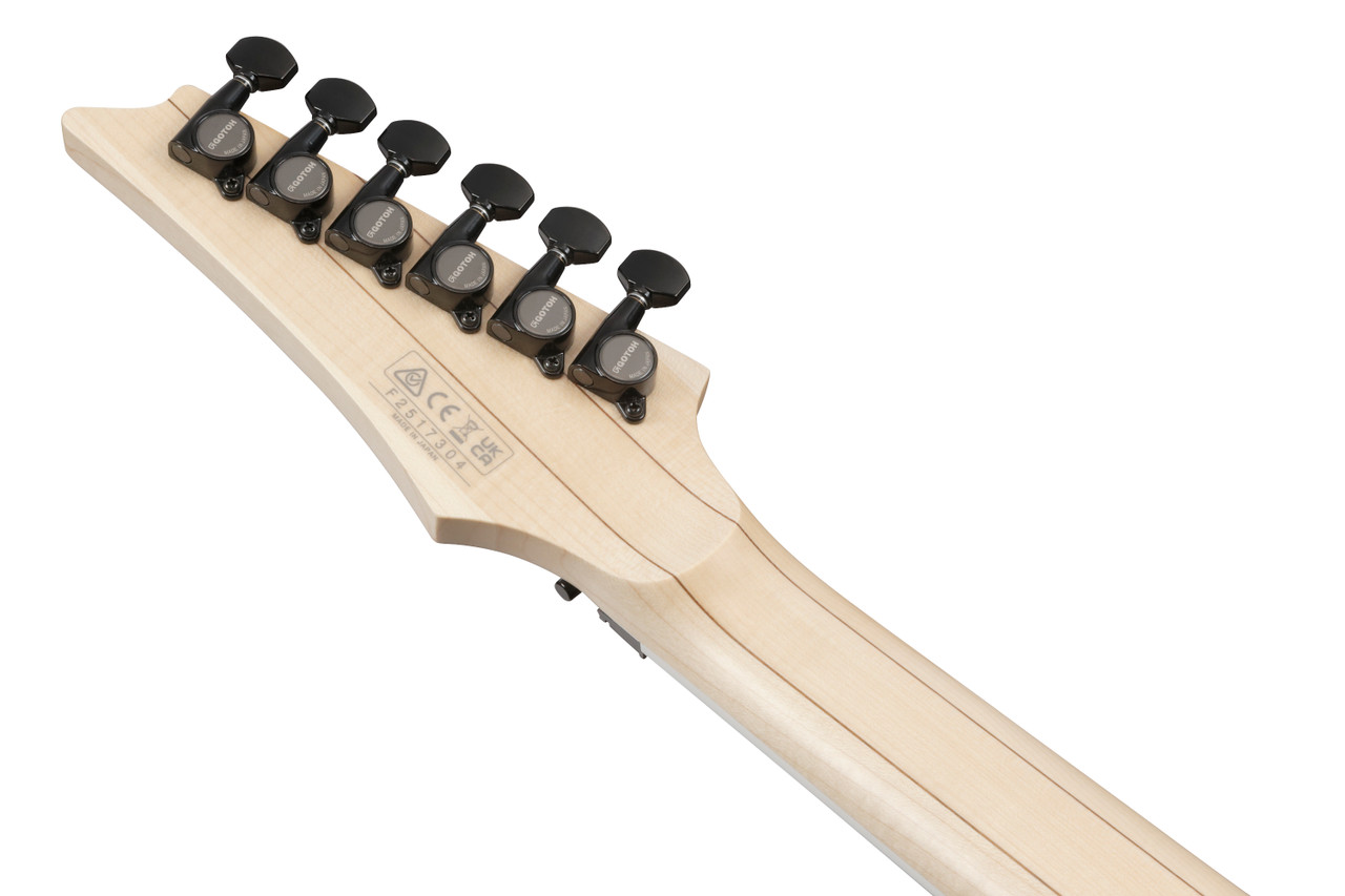 Ibanez RG Prestige 6 String Electric Guitar w/Case - White Flat (RG653DXWHF) | Musician Madness