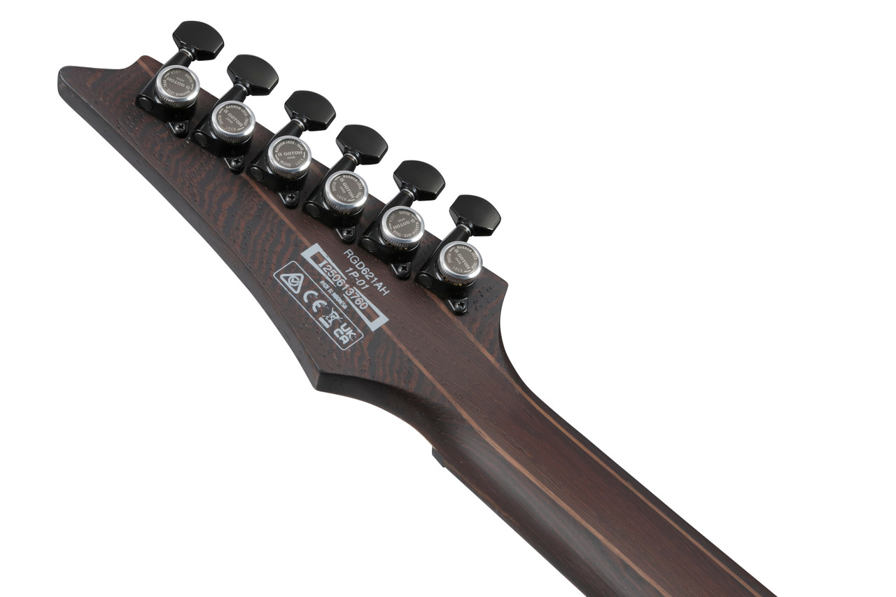 Ibanez RGD 6 String Electric Guitar - Midnight Shade Flat (RGD621AHMNF) | Musician Madness