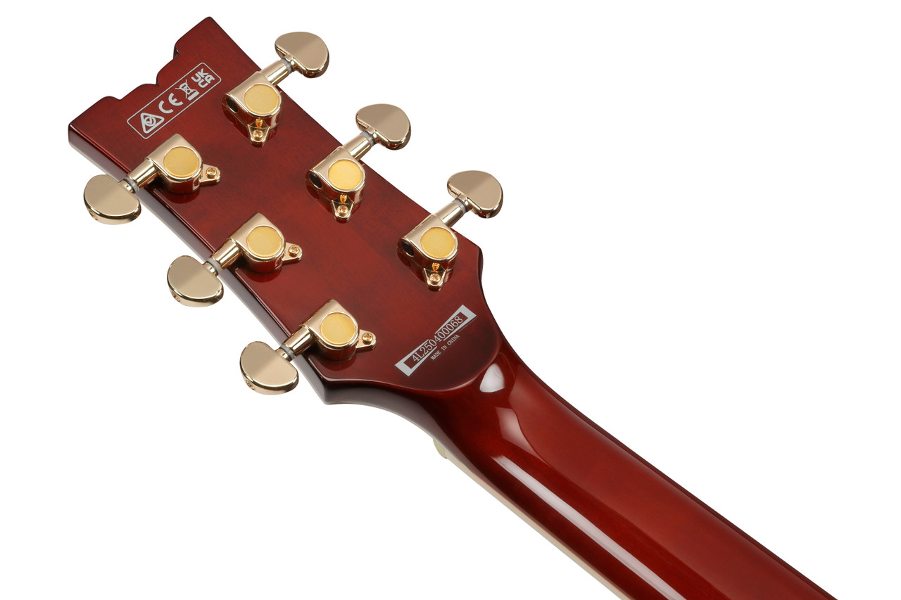 Ibanez AR Standard 6 String Electric Guitar  - Natural (AR520HMENT) | Musician Madness