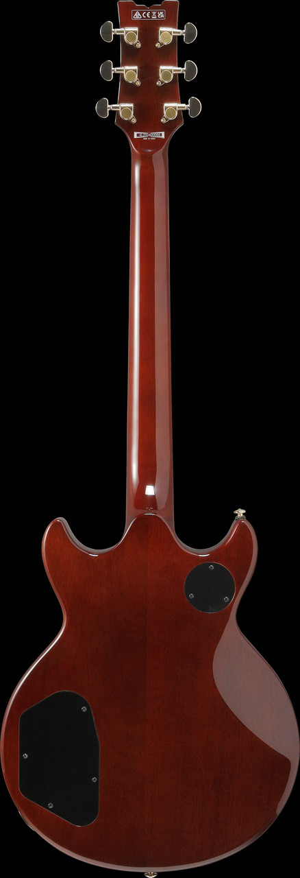 Ibanez AR Standard 6 String Electric Guitar  - Black Mirage Gradation (AR420BMG) | Musician Madness