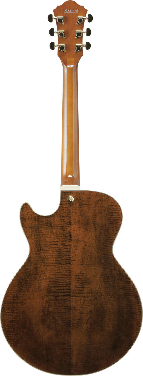 Ibanez AG Artcore Expressionist 6 String Electric Guitar - Dark Amber (AG95MGDA) | Musician Madness