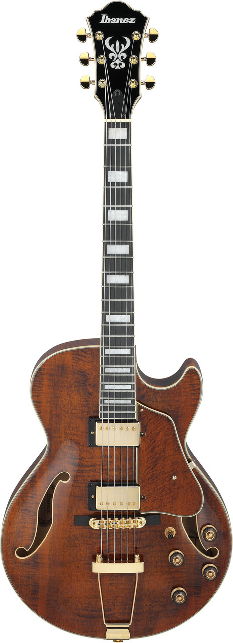 Ibanez AG Artcore Expressionist 6 String Electric Guitar - Dark Amber (AG95MGDA) | Musician Madness