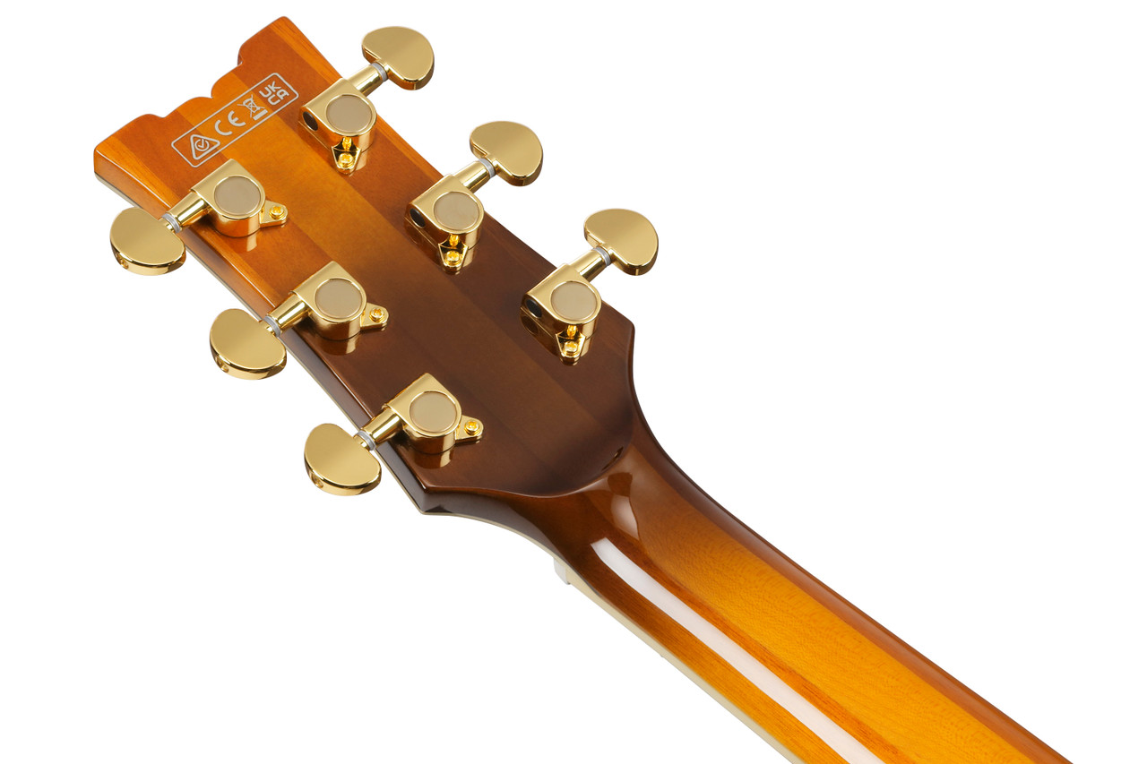Ibanez AM Artstar 6 String Electric Guitar w/Case - Antique Tobacco Burst (AM153FMATT) | Musician Madness