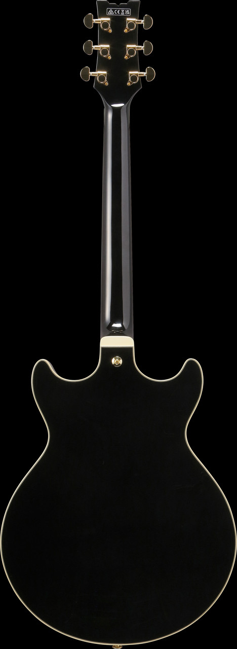 Ibanez AM Artcore 6 String Electric Guitar  - Black (AM73GBK) | Musician Madness