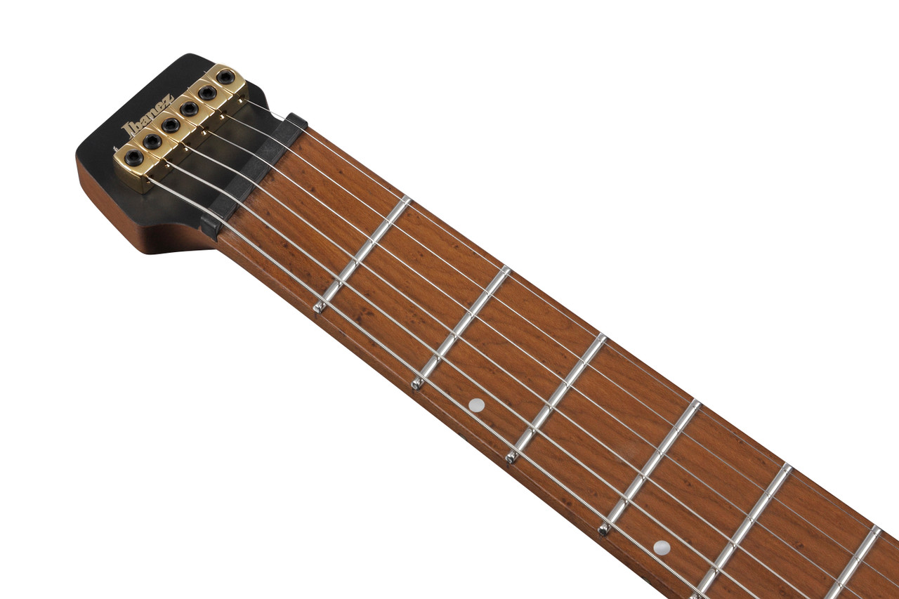 Ibanez Manuel Gardner Fernandes Signature 6 String Electric Guitar w/Bag - Obsidian Black Low Gloss (MGFM10OBL) | Musician Madness