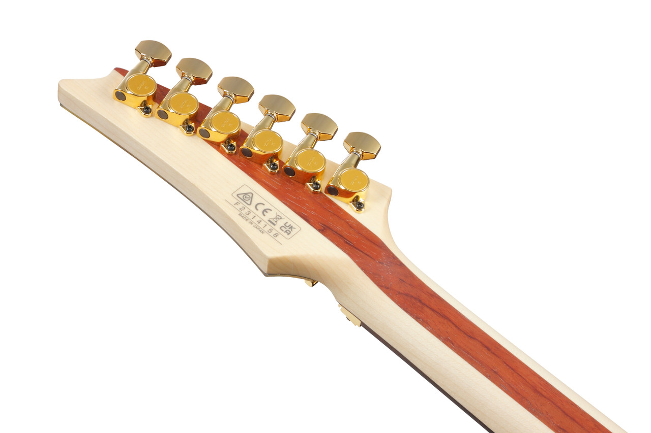 Ibanez Joe Satriani Signature 6 String Electric Guitar w/Case - Gold Boy (JS1GD)