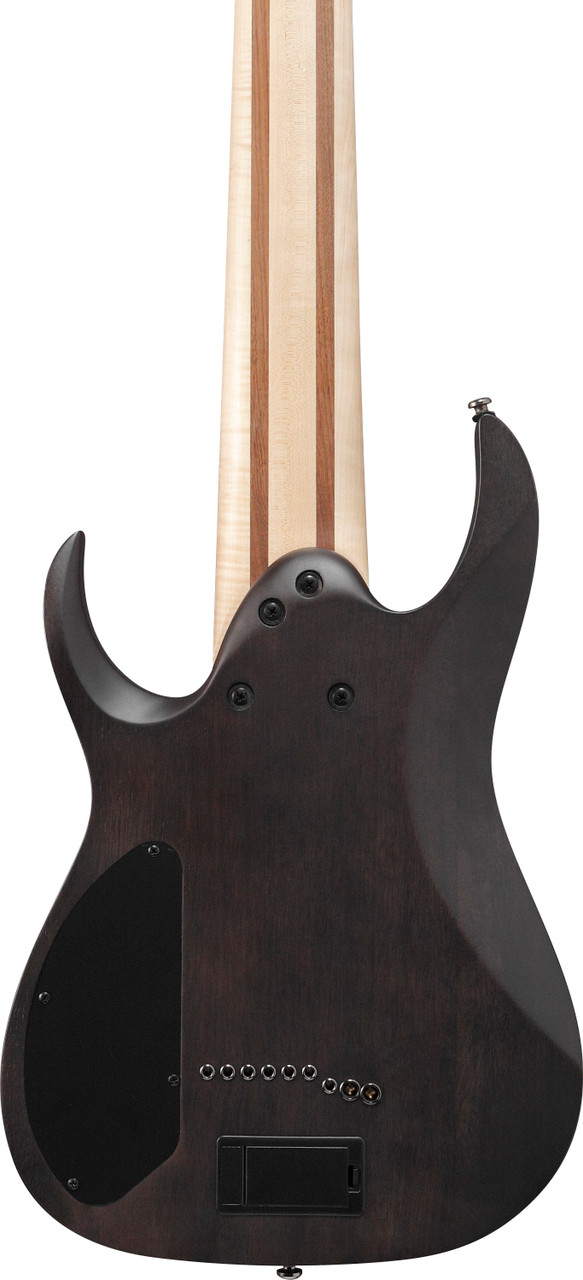Ibanez RG Axe Desing Lab 9str Electric Guitar - Transparent Gray Burst (RG9PBTGF) | Musician Madness