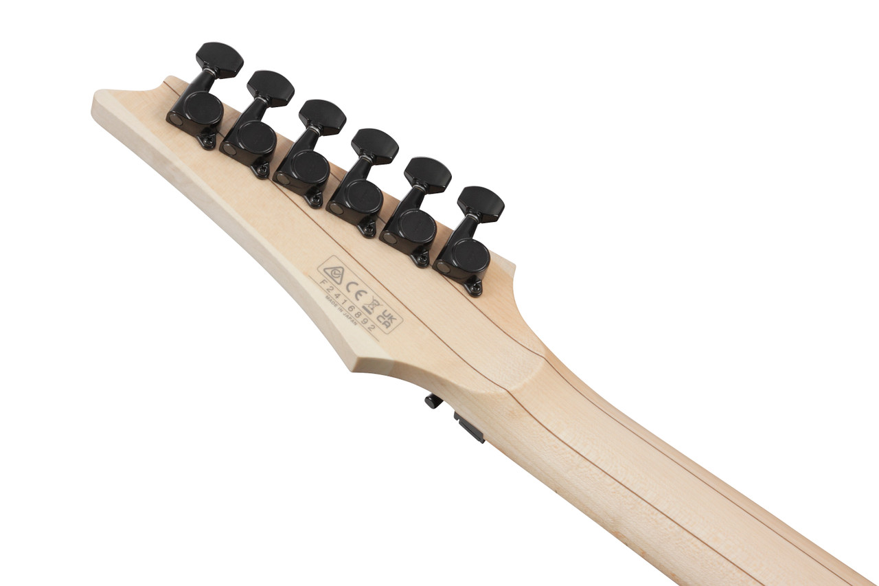 Ibanez RG Genesis Collection 6 String Electric Guitar - Black (RG550BK)