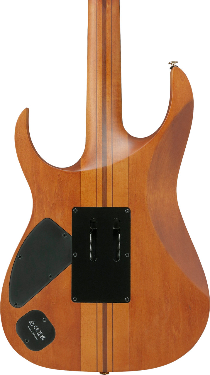 Ibanez RG Premium 6 String Electric Guitar - Antique Brown Stained Flat (RGT1220PBABS) | Musician Madness
