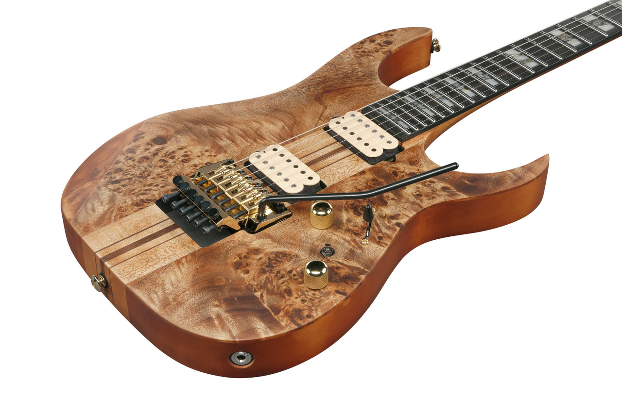 Ibanez RG Premium 6 String Electric Guitar - Antique Brown Stained Flat (RGT1220PBABS)