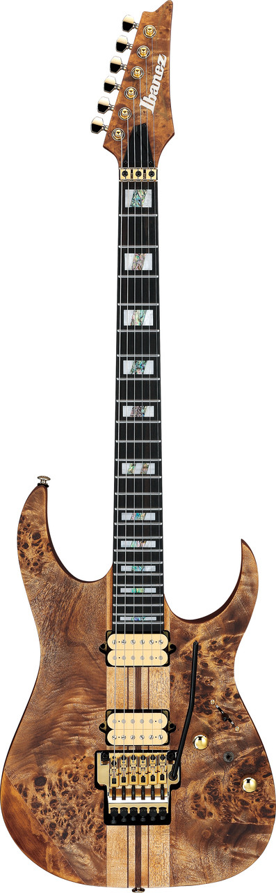 Ibanez RG Premium 6 String Electric Guitar - Antique Brown Stained Flat (RGT1220PBABS)