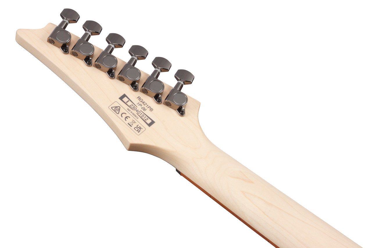 Ibanez RG Standard 6 String Electric Guitar - Caribbean Shoreline Flat (RG421PBCHF)